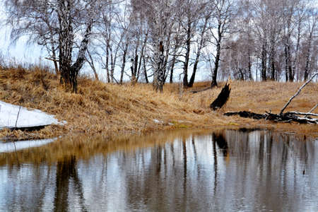 Nature Altaya pleases eye of the artist in any season of the yearの写真素材