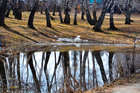 Nature Altaya pleases eye of the artist in any season of the yearの写真素材