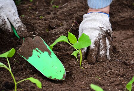 Fragments of the human body allow to consider detail close-upの写真素材