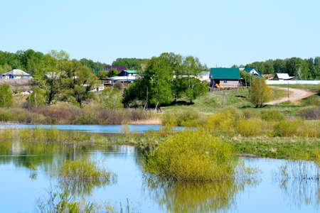 Much siberian sowed; sown is found far from civilizationsの写真素材