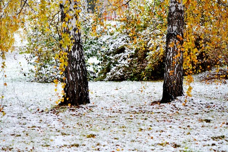 Nature Altaya pleases eye of the artist in any season of the yearの写真素材