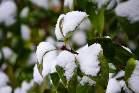Much different colours decorate steepe and timber landscapeの写真素材