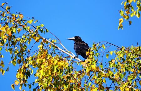Nature Altaya pleases eye of the artist in any season of the yearの写真素材