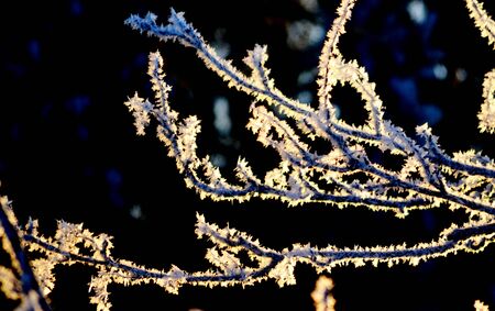 Nature Altaya pleases eye of the artist in any season of the yearの写真素材