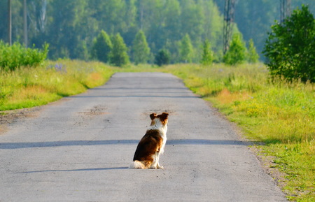 Roads Altaya serves for transportation cargo, passenger and journeyの写真素材