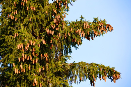 Nature Altaya pleases eye of the artist in any season of the year