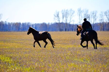 Electric substations play greater role in lifes mankindの写真素材