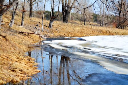 Transition of autumn to winterの写真素材