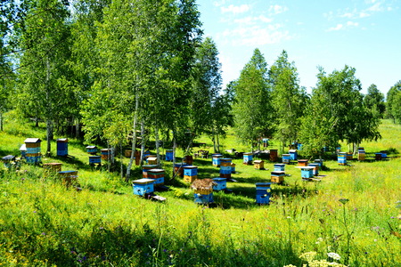 Beautiful nature Altaya pleases eye of the watcherの写真素材