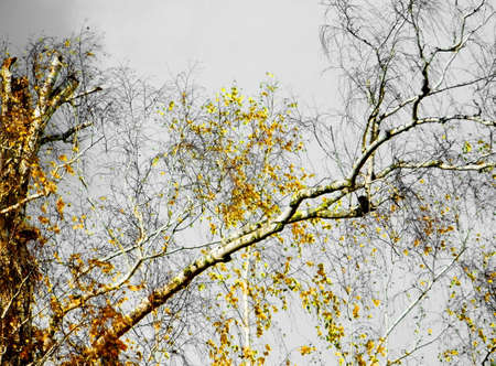 The Nature Altaya pleases the eye of the artist, travellier.の写真素材