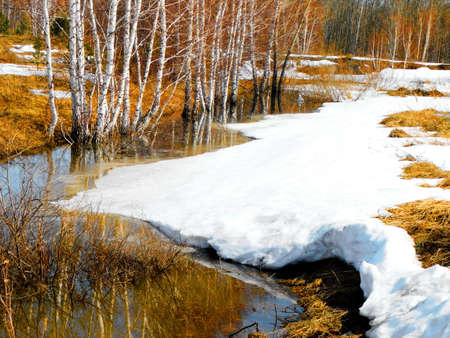 The Nature Altaya pleases the eye of the artist, travellier.の写真素材