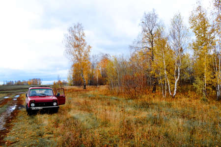 Landscapes wood and steppes Altaya please eye of the artistの写真素材