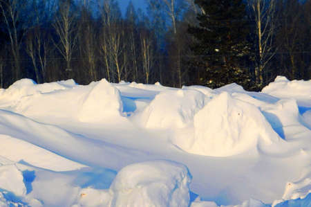 Landscapes wood and steppes Altaya please eye of the artist