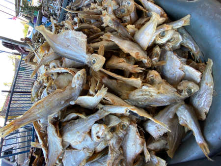 MYGIG123RF- Close up picture of various type of dried fish found in early morning market in Kuala Besut.の写真素材