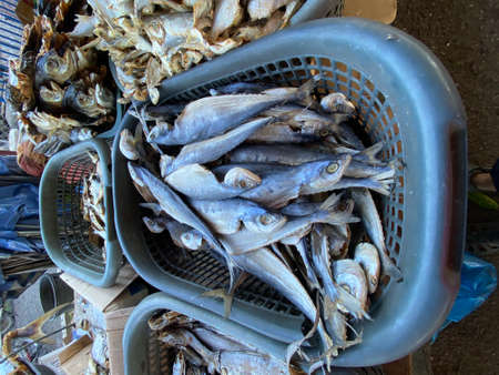 MYGIG123RF- Close up picture of various type of dried fish found in early morning market in Kuala Besut.の写真素材