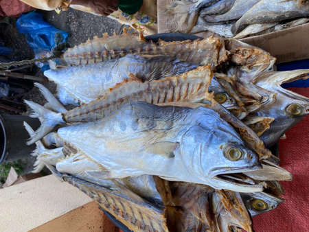 MYGIG123RF- Close up picture of various type of dried fish found in early morning market in Kuala Besut.の写真素材