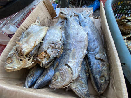 MYGIG123RF- Close up picture of various type of dried fish found in early morning market in Kuala Besut.の写真素材