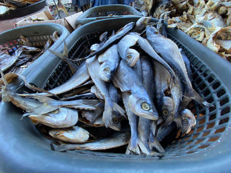 MYGIG123RF- Close up picture of various type of dried fish found in early morning market in Kuala Besut.の写真素材