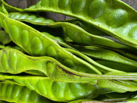 Close up photo of Parkia speciosa also known as Petai, bitter bean, one of the favorite food as...