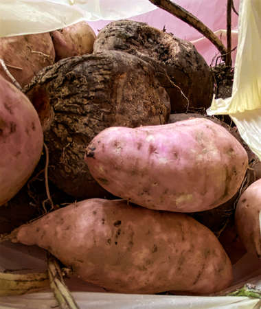 Close up photo of tapioca and sweet potato.の写真素材