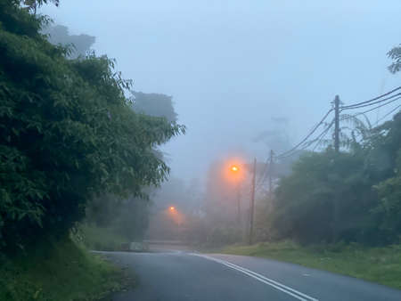 Morning view on the road in Cameron Highland from Tanah Rata to Brinchang.の写真素材