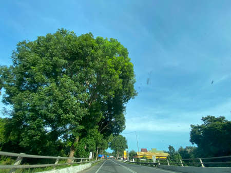 Peaceful morning scenery view on the road from Kampung Raja to Kuala Besut.の写真素材