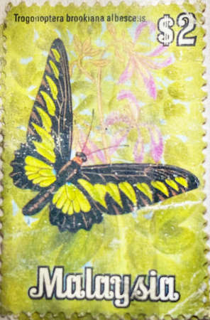 Butterfly stamp collection. Malaysia stamp.の写真素材