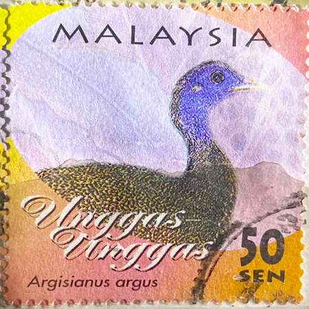 Bird stamp collection. Malaysia stamp.の写真素材