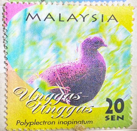 Bird stamp collection. Malaysia stamp.の写真素材