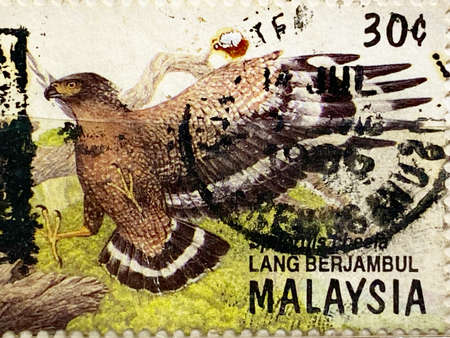 Bird stamp collection. Malaysia stamp.の写真素材