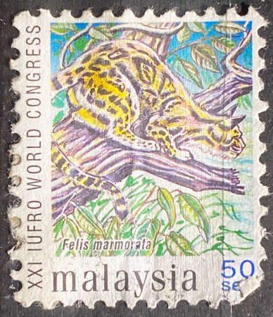 Event themes Malaysia stamp collection. Malaysia stamp.の写真素材