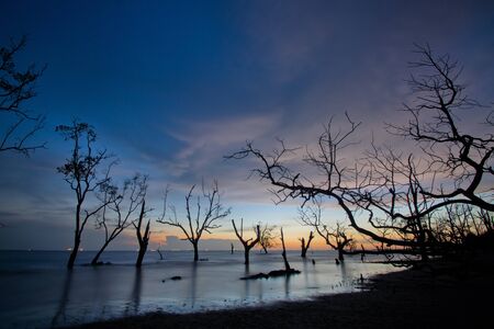 sunset at Kelanang beach, Selangorの写真素材