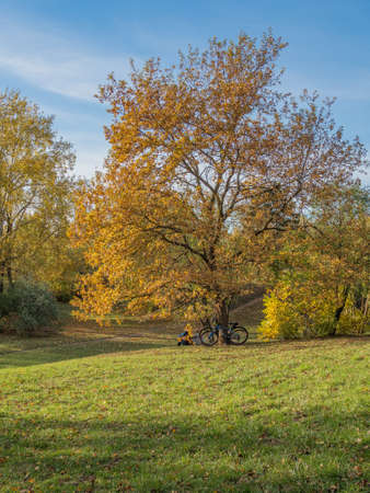 A pedestrian walk through the sunny park raises mood and well-being.の写真素材