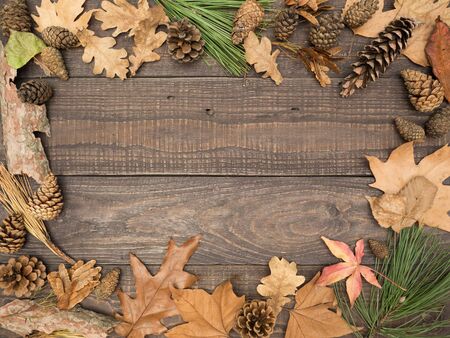 Autumn background after walks in the park- leaves, cones, branches, tree bark on a wooden table