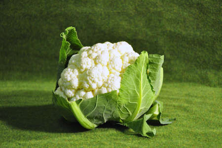 Fresh cauliflowerの写真素材