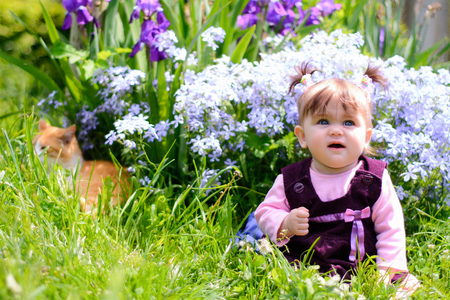 A beautiful Ukrainian little girl playing on a lawn with an ore catの写真素材