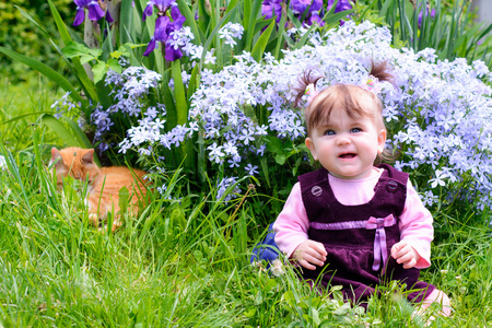 A beautiful Ukrainian little girl playing on a lawn with an ore catの写真素材