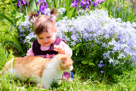 A beautiful Ukrainian little girl playing on a lawn with an ore catの写真素材
