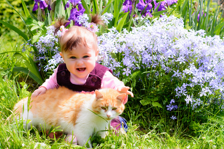 A beautiful Ukrainian little girl playing on a lawn with an ore catの写真素材