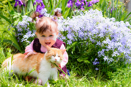 A beautiful Ukrainian little girl playing on a lawn with an ore catの写真素材