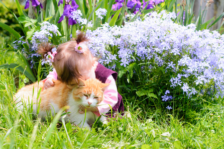 A beautiful Ukrainian little girl playing on a lawn with an ore cat. Amazing summer demonstrates this beautyの写真素材
