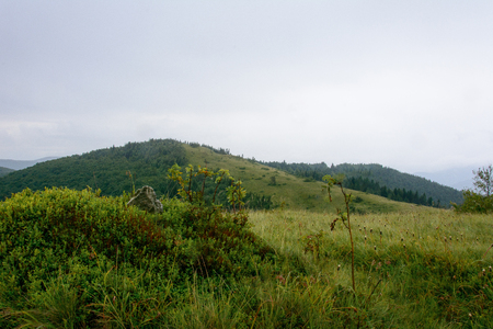 The foggy summit of Yavorinka in the Ukrainian mountains of the Carpathians. Cloudsの写真素材