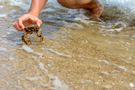 The waves wash the body of a man with a crab in his hands, a photo taken with the camera's short exposureの写真素材