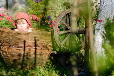 Amazing ukrainian little baby is in the garden and eats red berries along the spinning wheelの写真素材