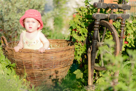 Amazing ukrainian little baby is in the garden and eats red berries along the spinning wheelの写真素材