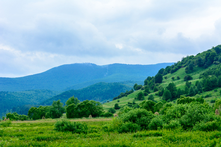 In Carpathians, the guests are always happy to meet the musicians, performing wonderful Ukrainian songsの写真素材