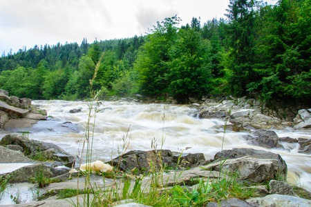 In the Ukrainian Carpathians, rivers often flood during the flood in the summerの写真素材