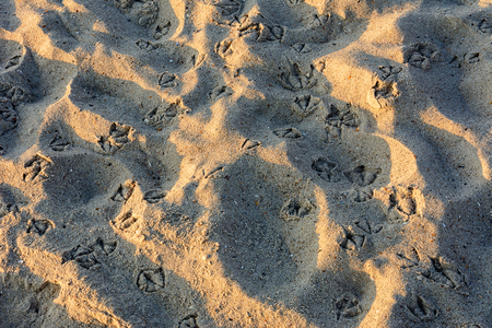 On this beach near the Ukrainian city of Odessa there are always many holidaymakersの写真素材