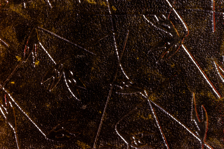 Close-up of a texture of yellow glass with a pattern of leaves and branches 2018の写真素材