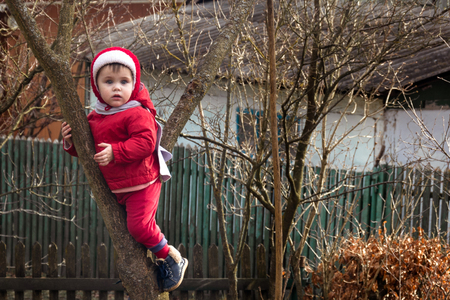 A little charming girl in red dressed up on a tree between two branches 2018の写真素材